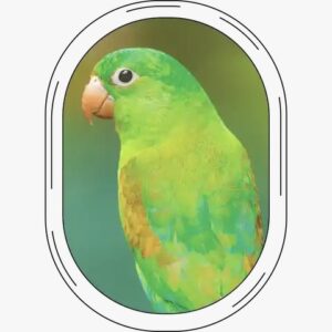 Home 254117bd e012 4c25 aa93 fd6419733f5d